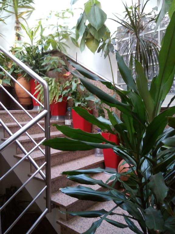 ホテル Residencial Moeda コインブラ エクステリア 写真